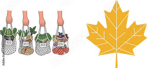 Eco friendly grocery bags and maple leaf vector illustration featuring reusable mesh bags with vegetables and autumn leaf icon