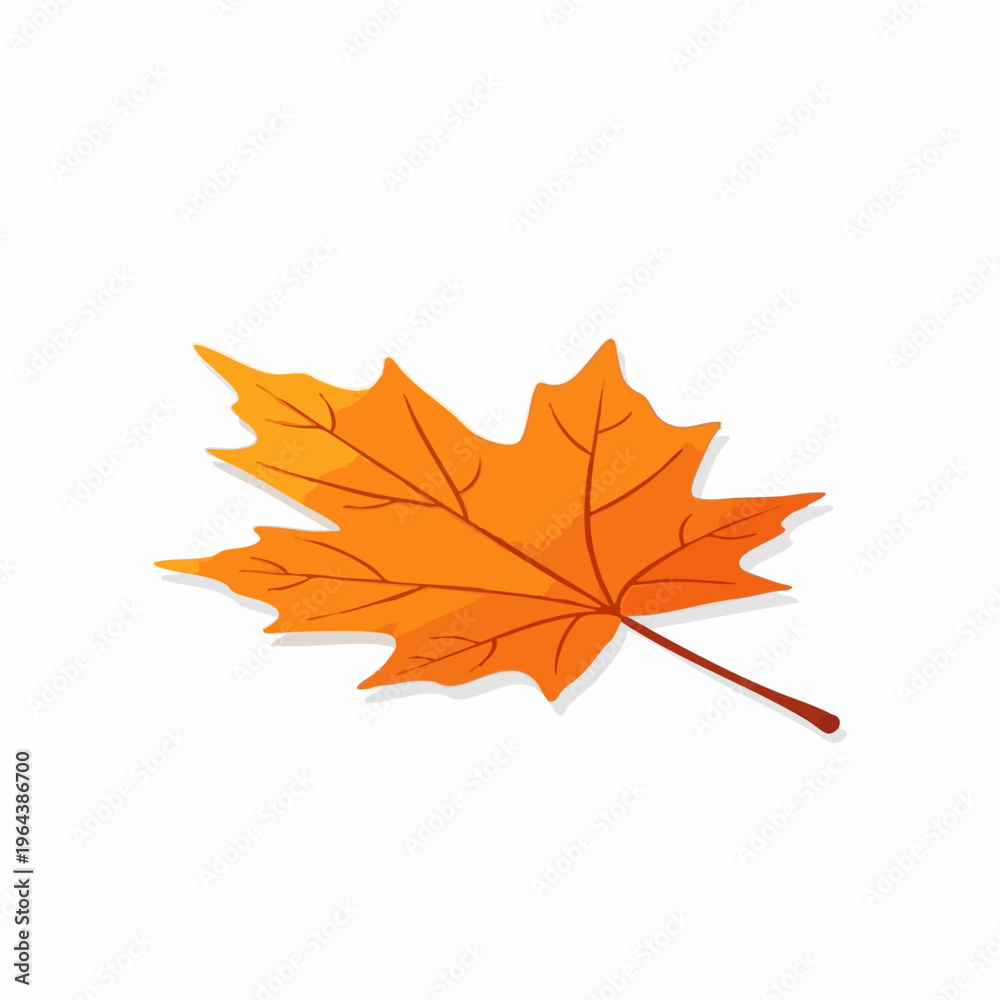 Fototapeta premium Orange maple leaf illustration isolated on white background.