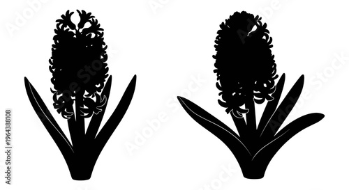 Hyacinth flower silhouettes set, black floral vector elements with leaves, spring garden plant icons for botanical design and wedding stationery