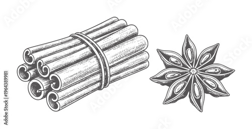 Bunch of cinnamon sticks tied with string next to star anise spice herb