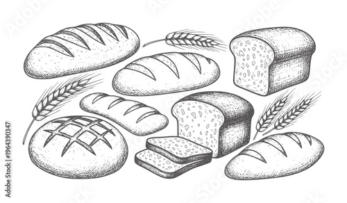 Hand drawn assortment of bread loaves and wheat stalks loaf grain bakery