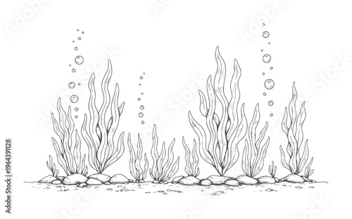Underwater kelp forest with rising bubbles and rocky seabed seaweed ocean
