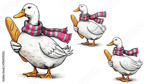 Whimsical white duck character wearing a pink striped scarf holding a French baguette, cute waterfowl illustration set, funny bird mascot vector