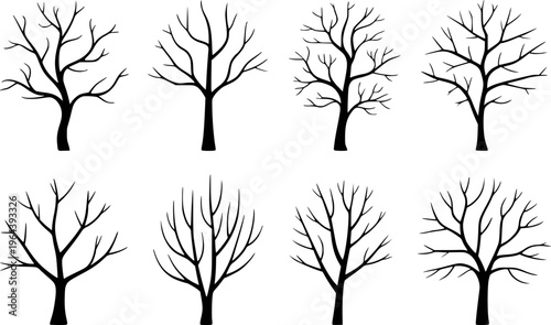 Collection of bare deciduous trees in silhouette a white background nature