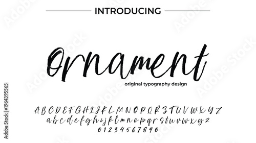Ornament Brush Script Font Handwritten Typography Alphabet Design