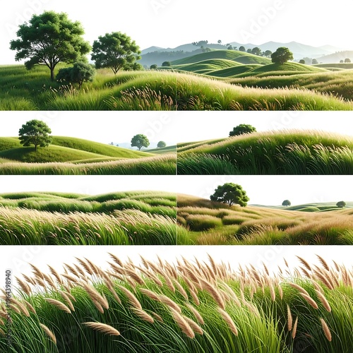 Rolling Hills of Green - A Serene Landscape.