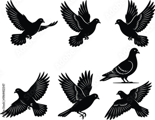 Collection of flying and standing pigeon silhouettes featuring detailed dove wings in flight for peace symbols nature wildlife urban bird life wedding celebrations