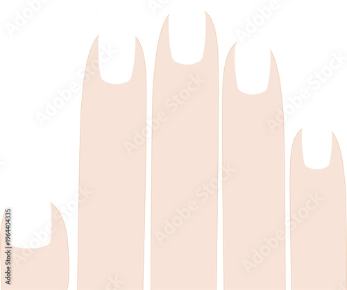 네일아트 디자인 손발톱