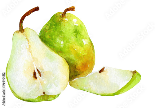 Watercolor fresh green Pears and sliced pear clip art illustration