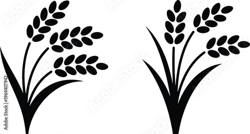 Rice plant silhouettes set, agriculture and farming crop illustration, minimal black vector design for food, nature and harvest concept – cad drawing flat vector illustration