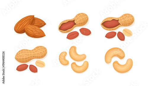 Collection of Variety of Nuts on Display.