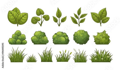 Collection of Variety of green leafy plants and grass.