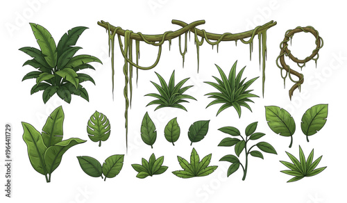 Collection of various green leafy plants.