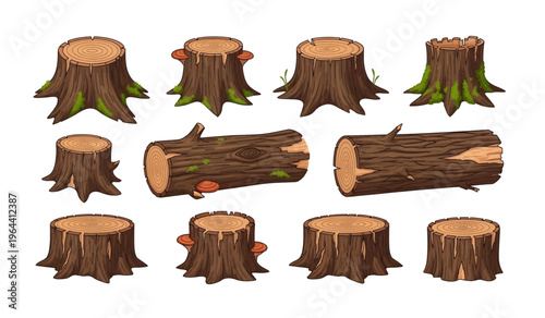 Collection of tree stumps and logs.