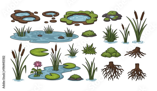 Collection of Lily pads and aquatic plants.