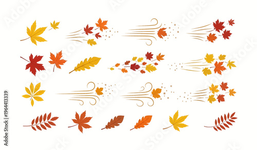 Collection of Autumn leaves falling in wind.