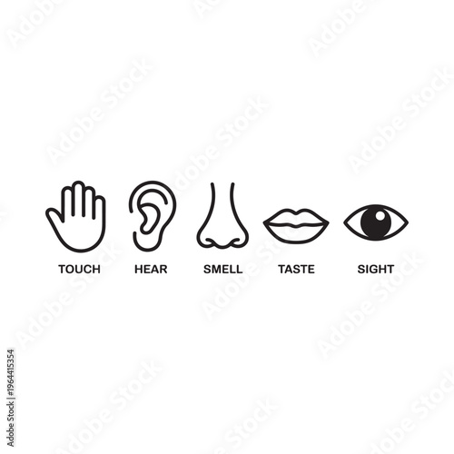 Five human senses represented by simple black line icons touch hear smell taste sight