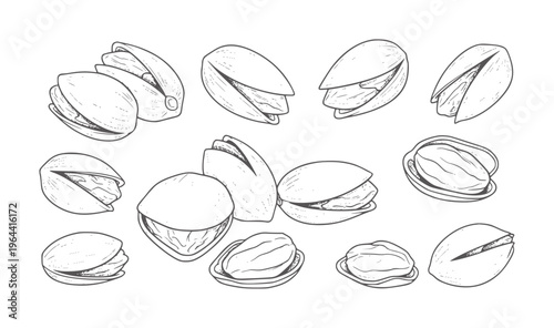 Hand drawn of various pistachios in shell and shelled nuts food outline black