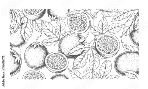 Hand drawn passion fruit and leaves pattern black and white passionfruit leaf vine