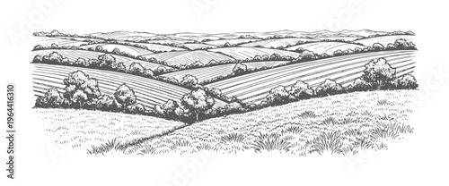 Rolling cultivated fields and grassy hills with trees in a monochrome landscape nature