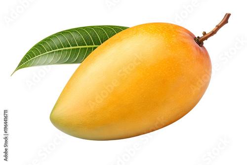 Ripe Yellow Nam Dok Mai Mango Isolated on White Background