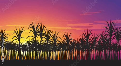 Silhouette of sugarcane field against vibrant sunset sky