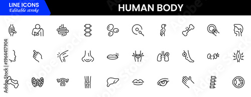 Human body icons depicting anatomy, organs, skeleton, muscles, health, biology, structure, systems, medical, education, science, physiology, and wellness.