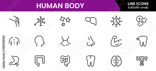 Human body icons depicting anatomy, organs, skeleton, muscles, health, biology, structure, systems, medical, education, science, physiology, and wellness.