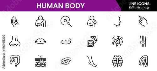 Human body icons depicting anatomy, organs, skeleton, muscles, health, biology, structure, systems, medical, education, science, physiology, and wellness.