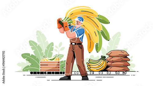 Banana Harvest: An illustration of a worker carrying a bunch of bananas from the fields to the harvest station. Showcasing labor and hard work in the agricultural industry.
