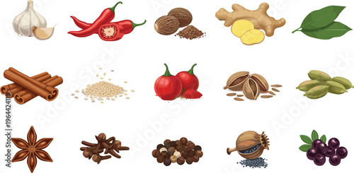 Spices and herbs collection with garlic chili cinnamon ginger cardamom cloves and pepper realistic food ingredient vector illustration set