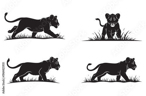 Four playful black silhouette lion cubs in different poses walking sitting and running on grassy field isolated on transparent background vector illustration wild african animals set