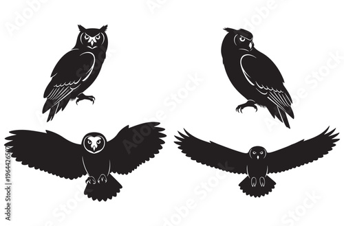 Owl silhouette illustrations with predatory birds perched or flying toward camera showing detailed feathers and wise eyes for nocturnal forest theme isolated on transparent background
