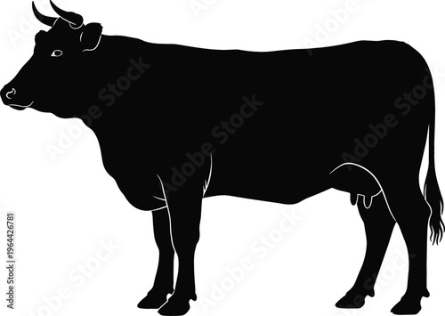 Set of cow silhouettes in different grazing and standing poses, black livestock vector collection for farm design, agriculture projects, and rural branding use