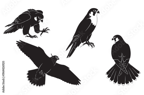 Set of detailed black silhouettes of falcons in various poses including flying hunting standing perched and with prey isolated on transparent background vector illustration graphic design elements
