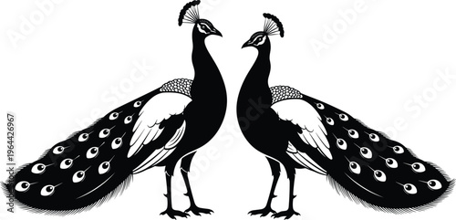 Elegant Black and White Symmetrical Peacock Silhouette Illustration Featuring Two Majestic Birds with Ornate Feathers and Decorative Details for Wedding Invitations and Graphic Design (25 words)