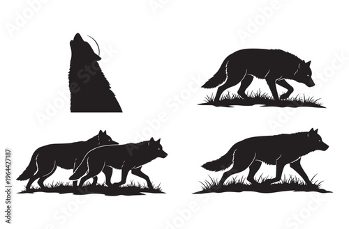 Wolf silhouette pack showing howling animal profile or walking through grass for wilderness and north american wildlife concept design elements isolated on transparent background asset