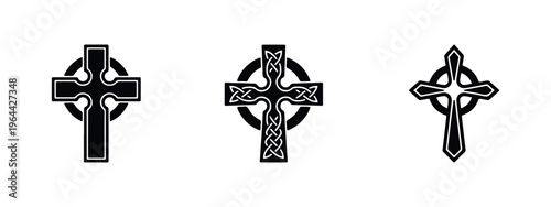 Minimalist black insect icons: worm, housefly and beetle silhouettes