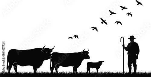 Silhouette of a farmer holding a staff standing in a field with cows and a small calf while a flock of birds flies above.