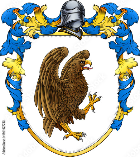 An eagle, hawk or falcon co...