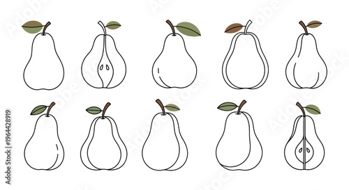 A Group of Pear Illustrations Sideways.