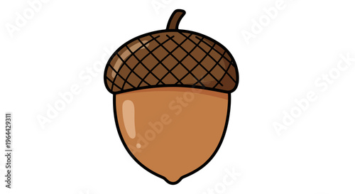 Cartoon Acorn Vector Illustration Isolated on White Background for Nature and Autumn Designs
