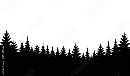 Silhouette of evergreen forest evergreen trees forest silhouette