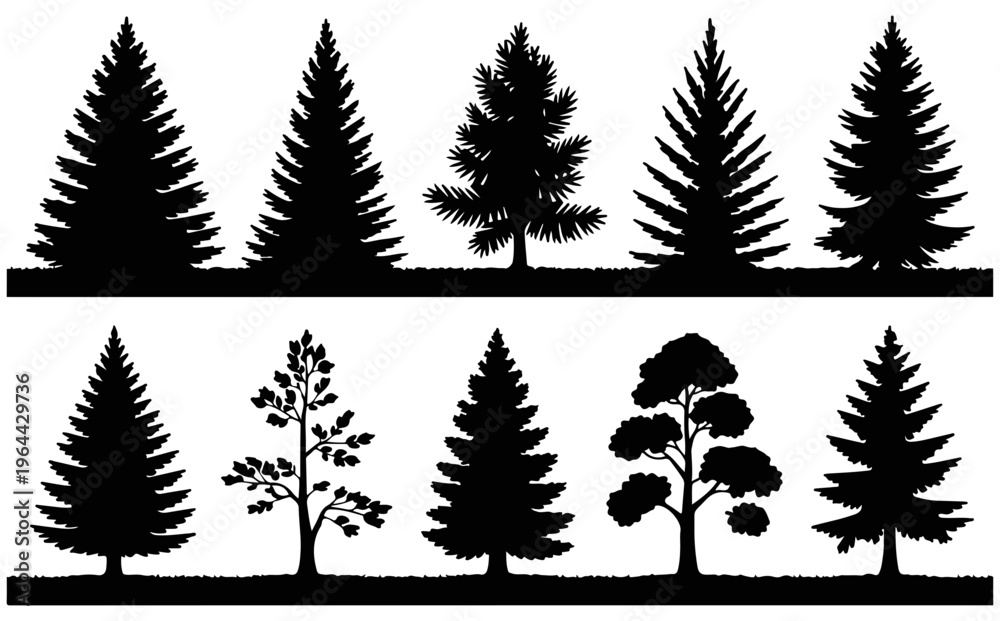 Obraz premium Various pine tree silhouettes black white