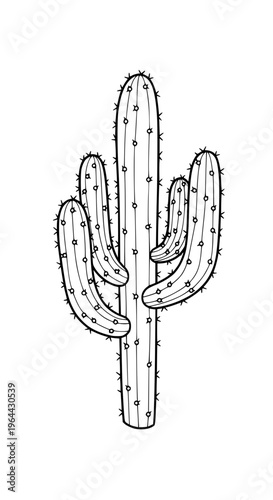 A cactus plant with three arms isolated on white background, Vector