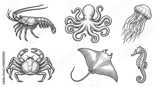 A collection of sea animals in a vintage engraving sketch style. Set includes octopus, crab, lobster, jellyfish, stingray, seahorse. Hand-drawn vector for logos, menus, or branding.