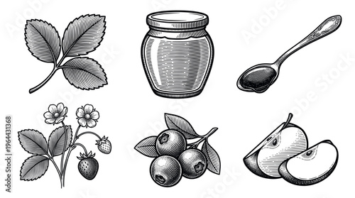 A set of vintage food illustrations in a classic engraving style. Includes strawberry, blueberry, apple, jam jar, and spoon. Perfect for packaging, labels, and rustic branding.