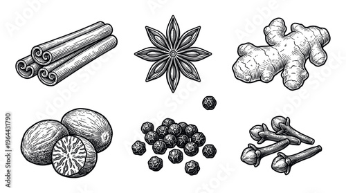 A collection of spices in a vintage engraving sketch style. Includes cinnamon, anise, ginger, nutmeg, pepper, clove. Ideal for menus, food packaging, and culinary designs.
