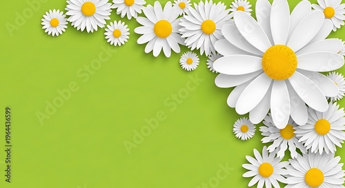 Vibrant white daisies on bright green background floral arrangement