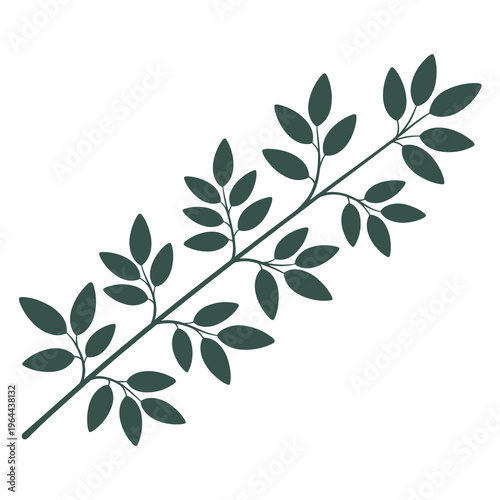 Single Leafy Branch Illustration